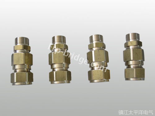 黃銅铠(kai)裝電纜密封接頭(tou)